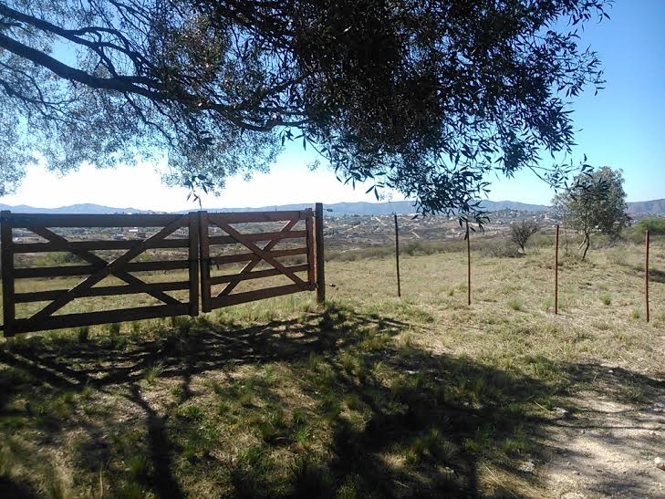 4 ha en Cabalango, camino principal — foto 2