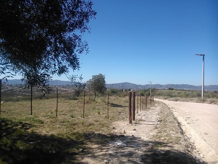 4 ha en Cabalango, camino principal — foto 5