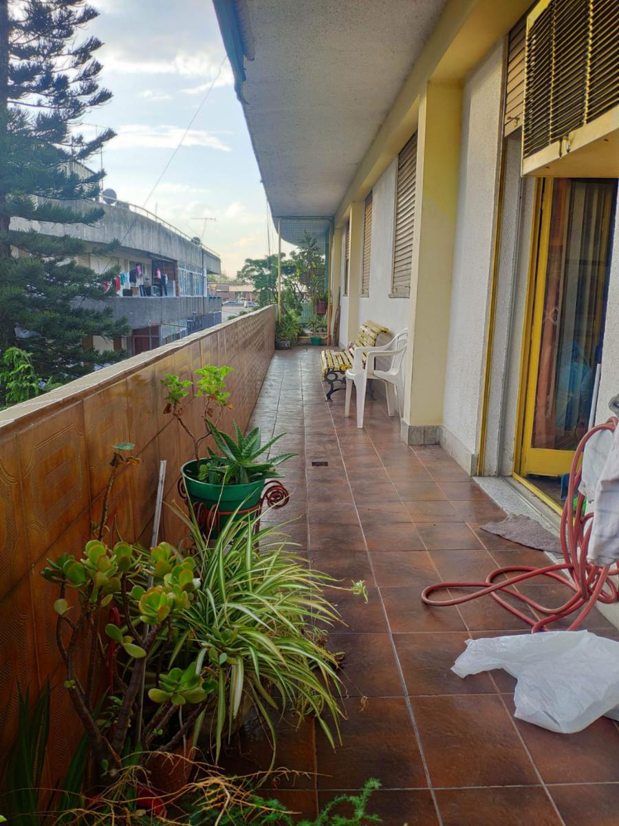 DEPARTAMENTO 3 HABITACIONES DOS BAÑOS Y BALCÓN — foto 3