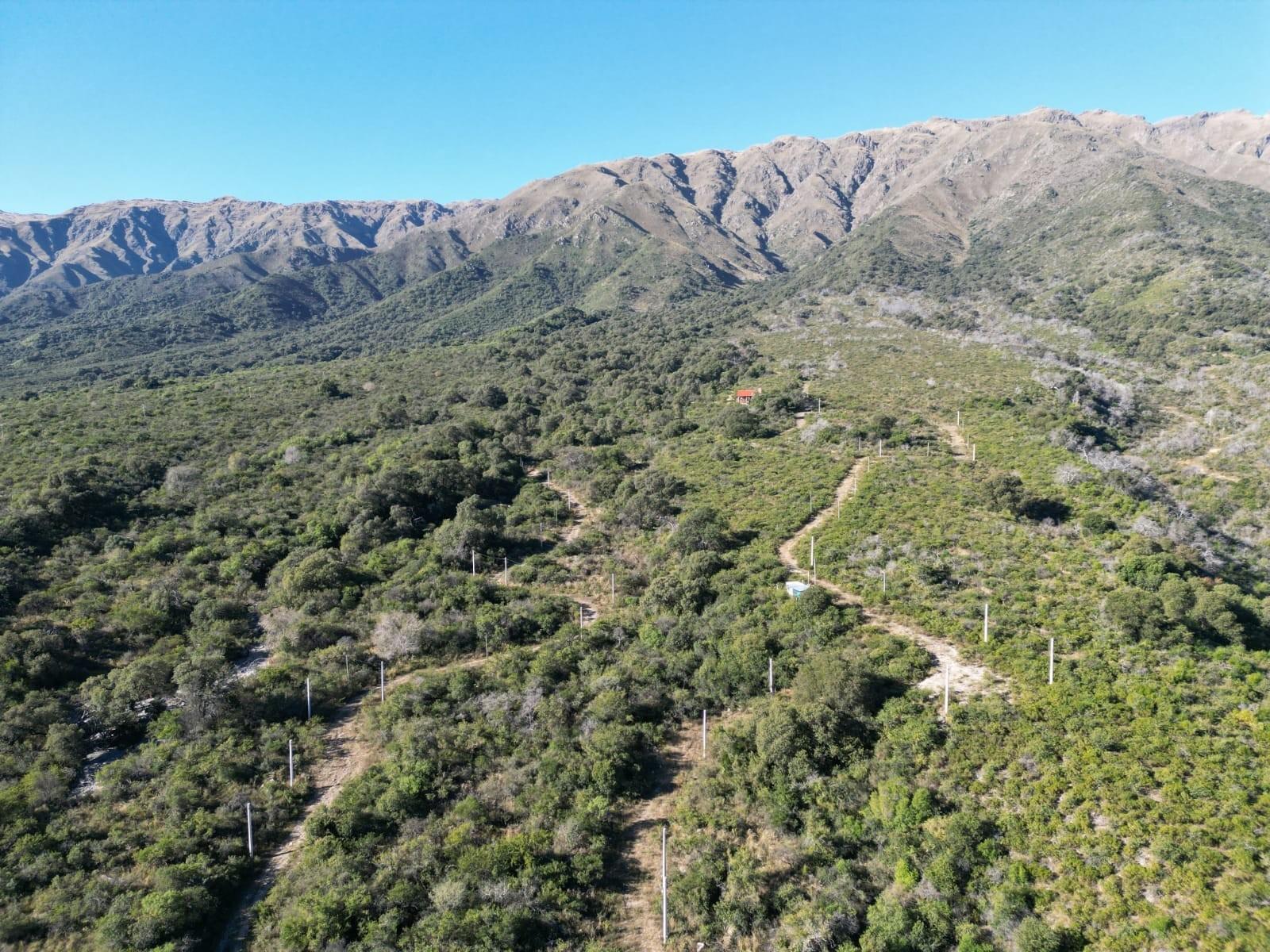 LOTEO EL MOLLAR DE LA CAÑADA - LOTES EN ZONA ALTA DE CARPINTERÍA — foto 6