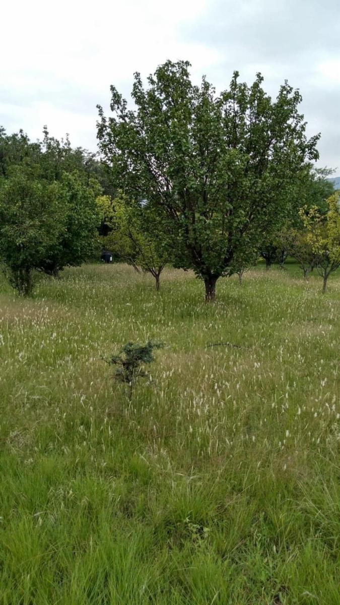 Casa en 3 Hectáreas y 2.300m² en Carpintería, San Luis - 3