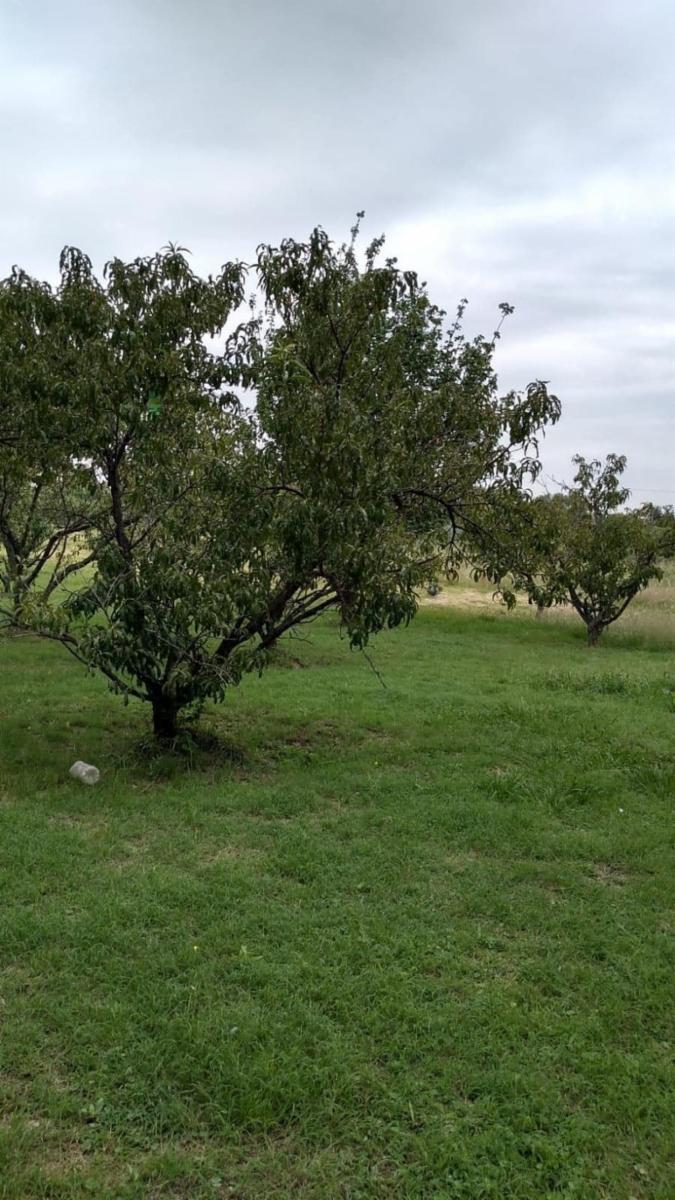 Casa en 3 Hectáreas y 2.300m² en Carpintería, San Luis - 4