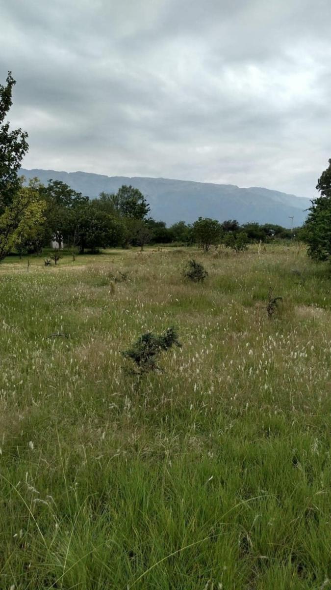 Casa en 3 Hectáreas y 2.300m² en Carpintería, San Luis - 6
