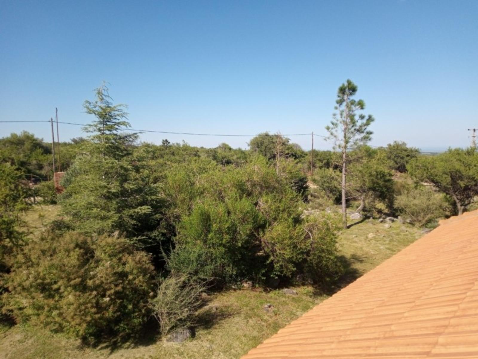 CASA + MONOAMBIENTE EN VENTA LOS MOLLES, SAN LUIS. ¡ÚNICA AL PIE DE LAS SIERRAS EN LOS MOLLES, SAN LUIS — foto 15