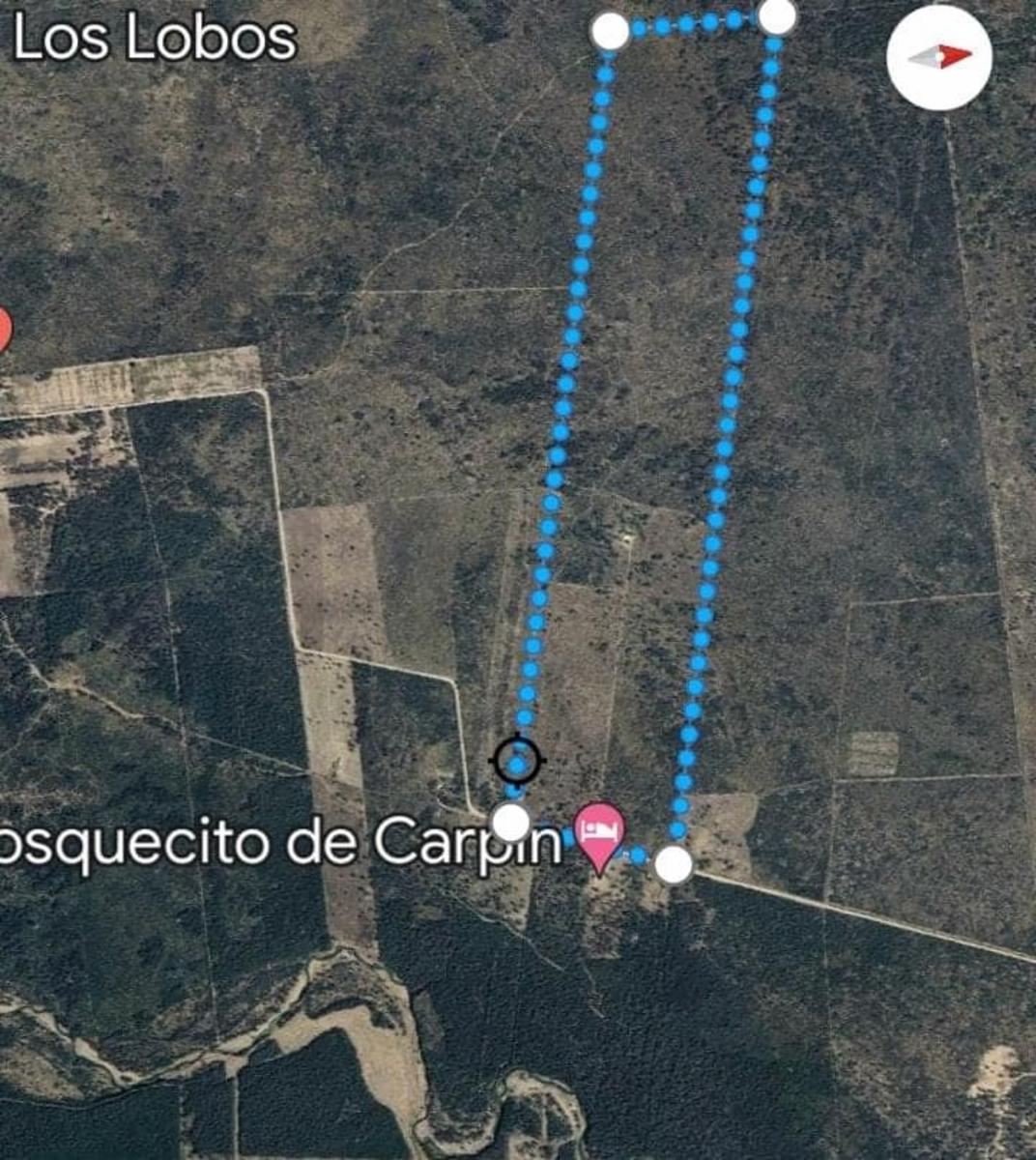 VENTA CAMPO EN PARAJE LOS LOBOS - 1
