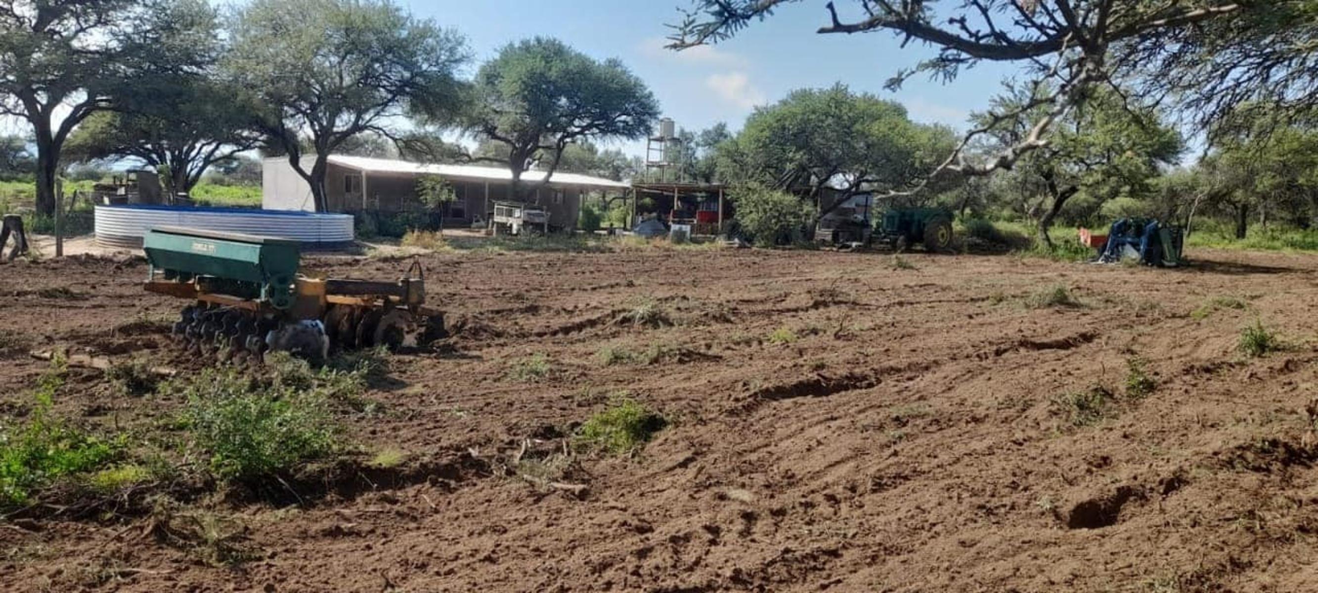 VENTA CAMPO EN PARAJE LOS LOBOS - 4