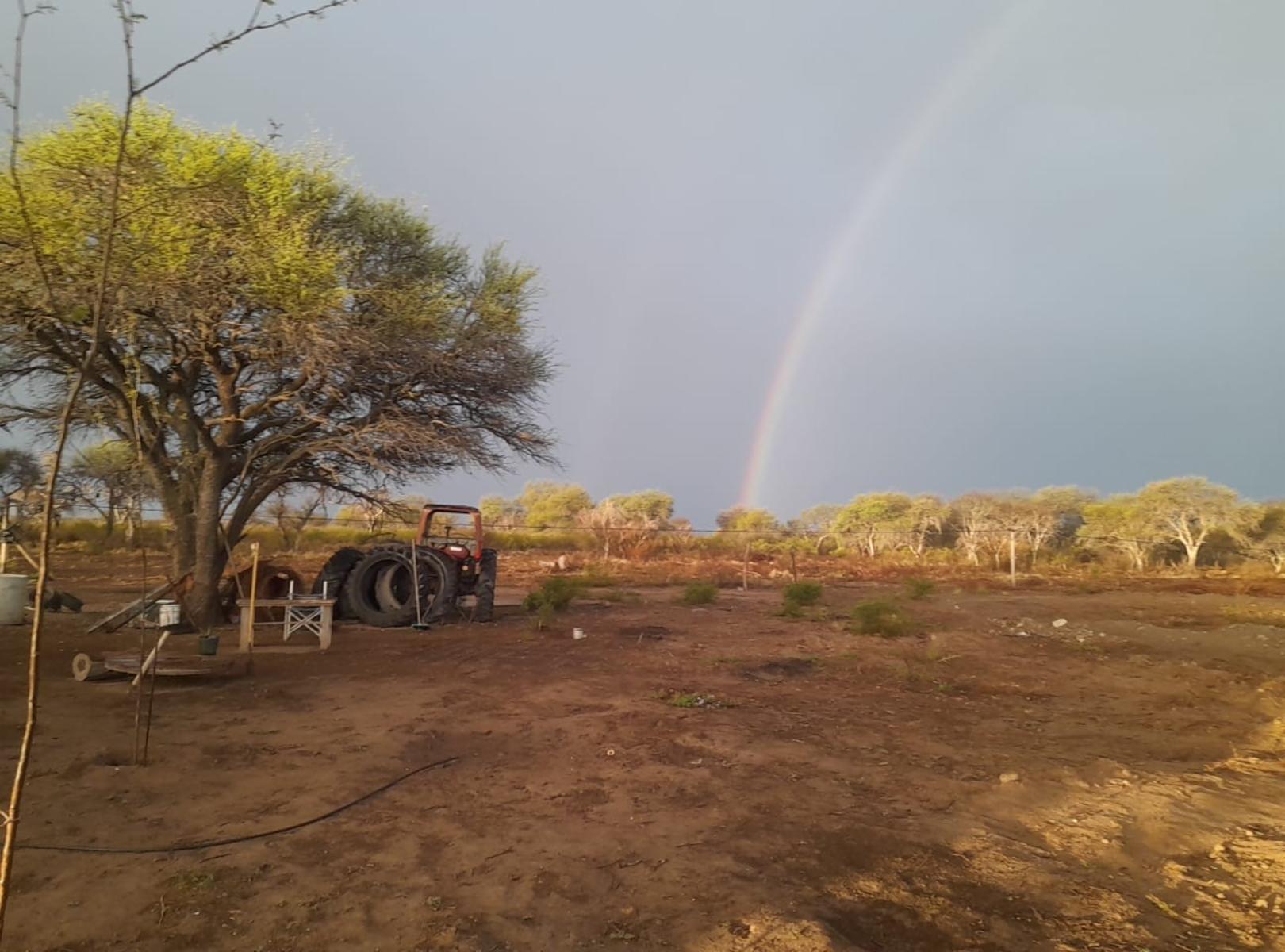 VENTA CAMPO EN PARAJE LOS LOBOS - 5