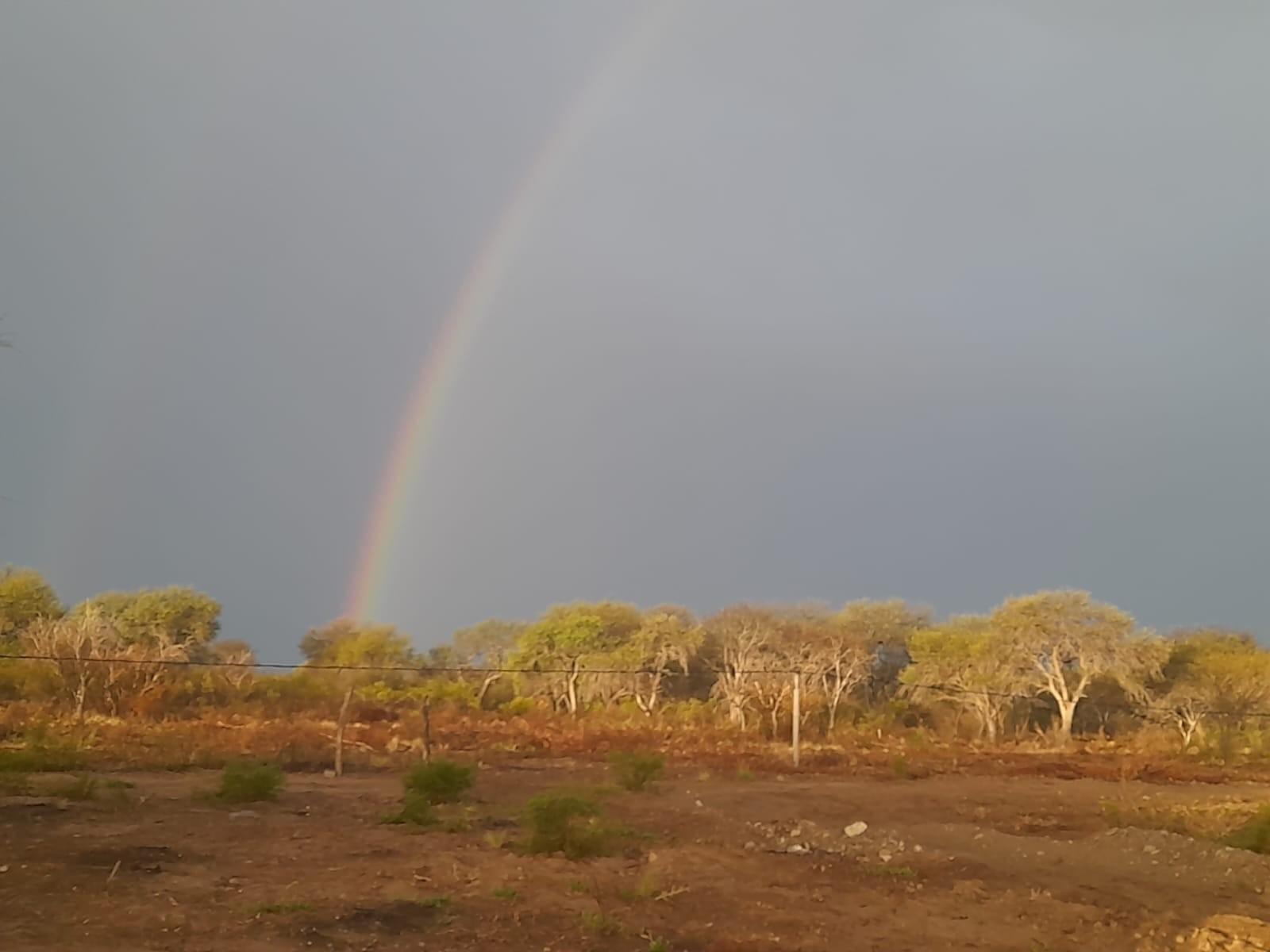 VENTA CAMPO EN PARAJE LOS LOBOS - 9