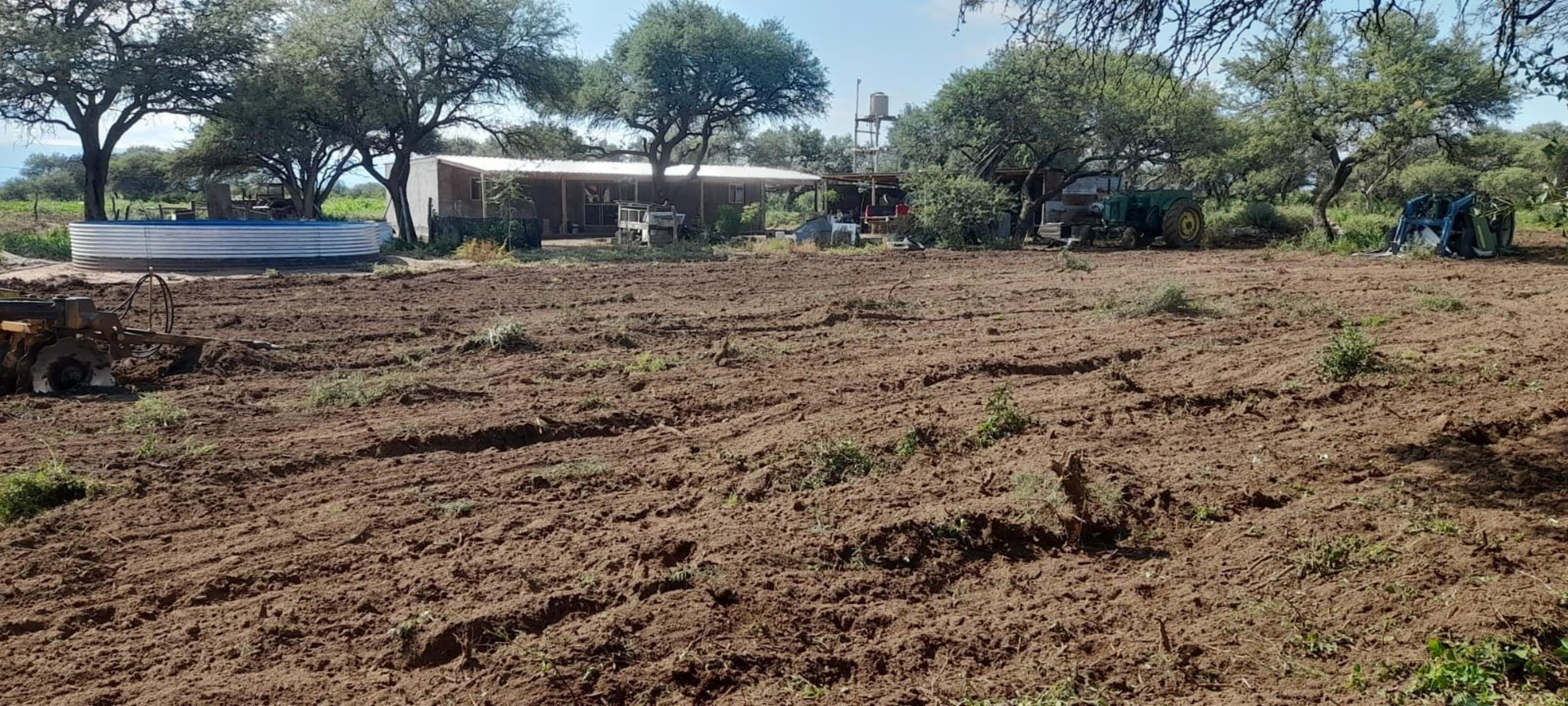 VENTA CAMPO EN PARAJE LOS LOBOS - 11