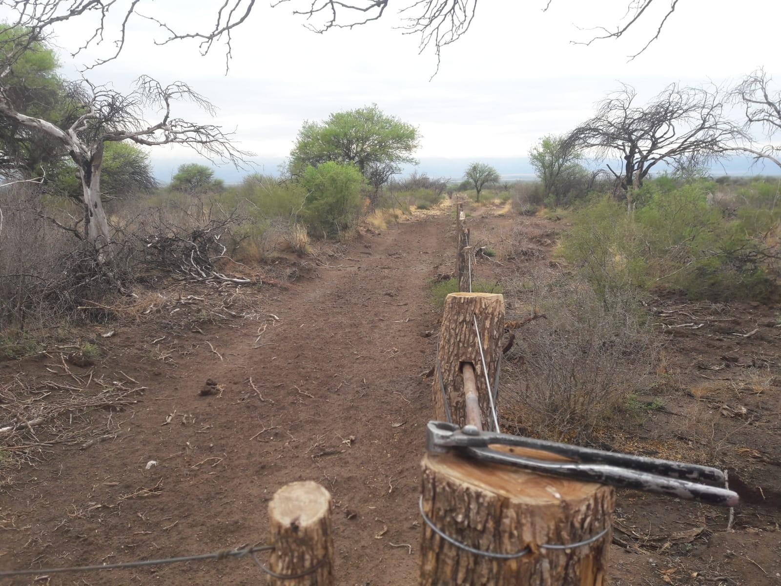 VENTA CAMPO EN PARAJE LOS LOBOS - 12