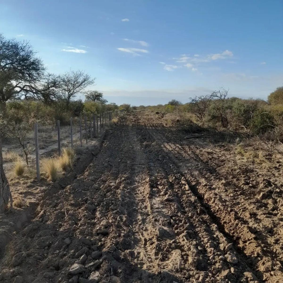 VENTA CAMPO EN PARAJE LOS LOBOS - 15