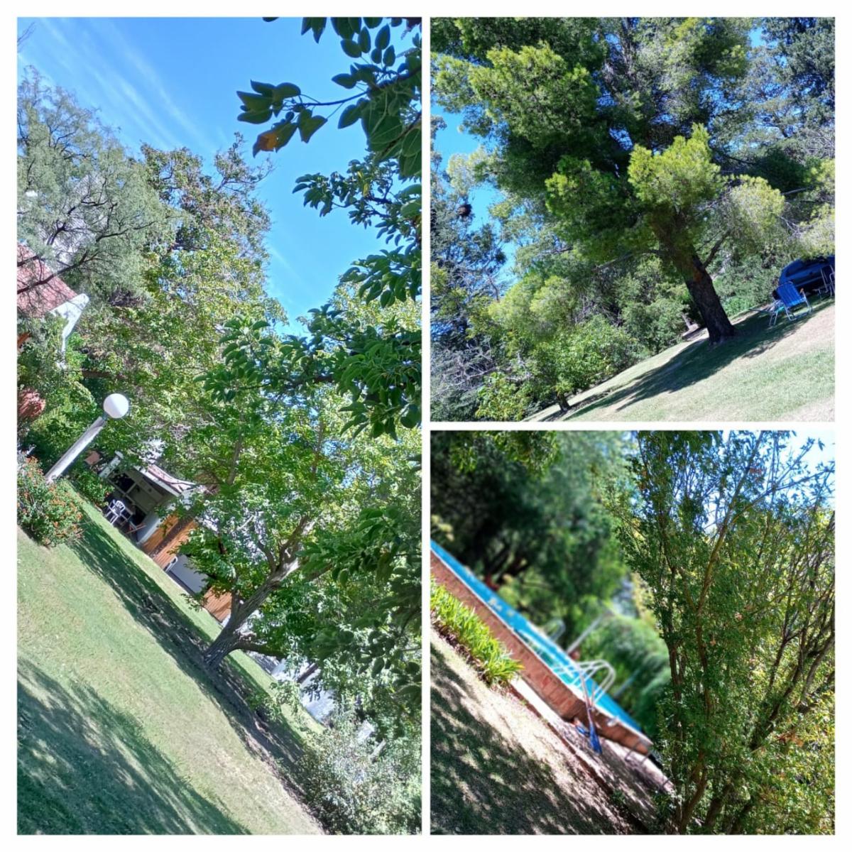 Chacra en lo Más Alto de Loma Bola, Traslasierras - 12