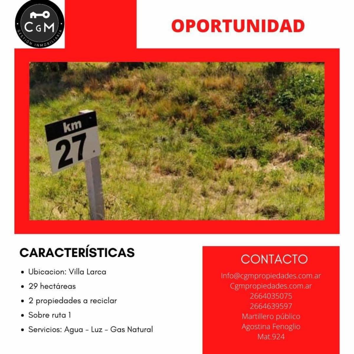 CAMPO 29 HECTAREAS EN VILLA LARCA, SAN LUIS - 1