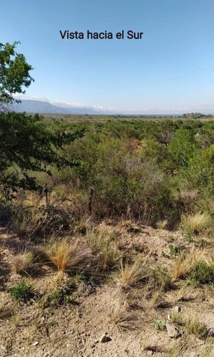 CAMPO 29 HECTAREAS EN VILLA LARCA, SAN LUIS - 2