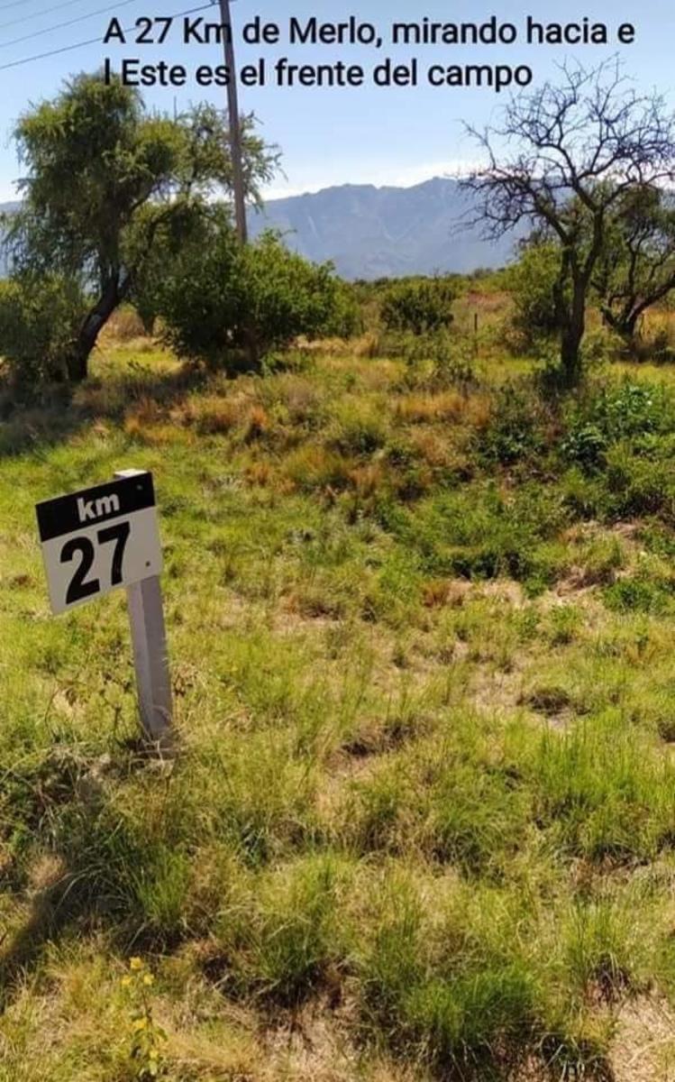 CAMPO 29 HECTAREAS EN VILLA LARCA, SAN LUIS - 3