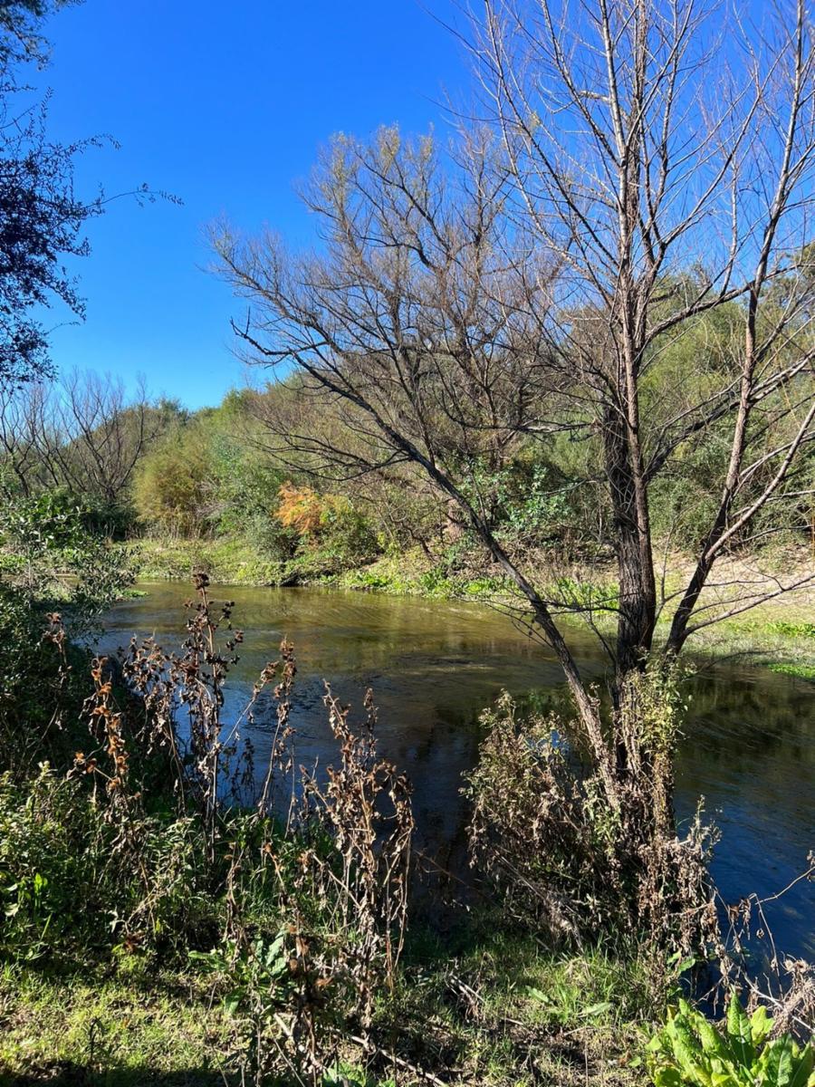 ¡OPORTUNIDAD ÃNICA, RETASADO - CHACRA EN VENTA EN SANTA ROSA DEL VALLE DEL CONLARA, SAN LUIS - 6