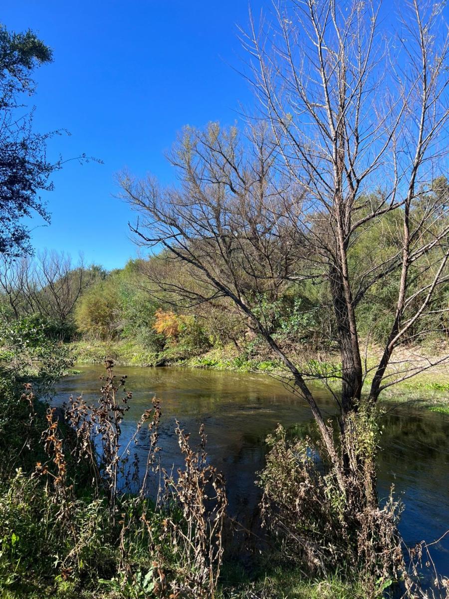 ¡OPORTUNIDAD ÃNICA, RETASADO - CHACRA EN VENTA EN SANTA ROSA DEL VALLE DEL CONLARA, SAN LUIS - 8