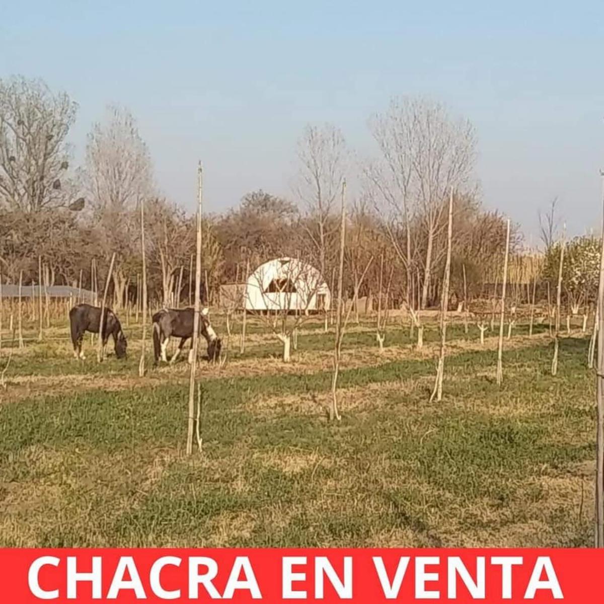 ¡OPORTUNIDAD ÃNICA, RETASADO - CHACRA EN VENTA EN SANTA ROSA DEL VALLE DEL CONLARA, SAN LUIS - 11
