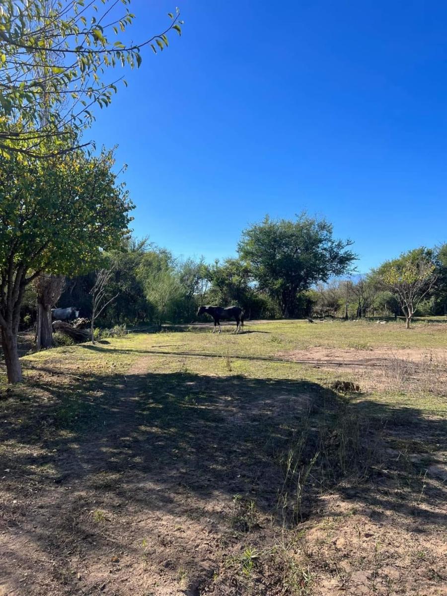 ¡OPORTUNIDAD ÃNICA, RETASADO - CHACRA EN VENTA EN SANTA ROSA DEL VALLE DEL CONLARA, SAN LUIS - 14