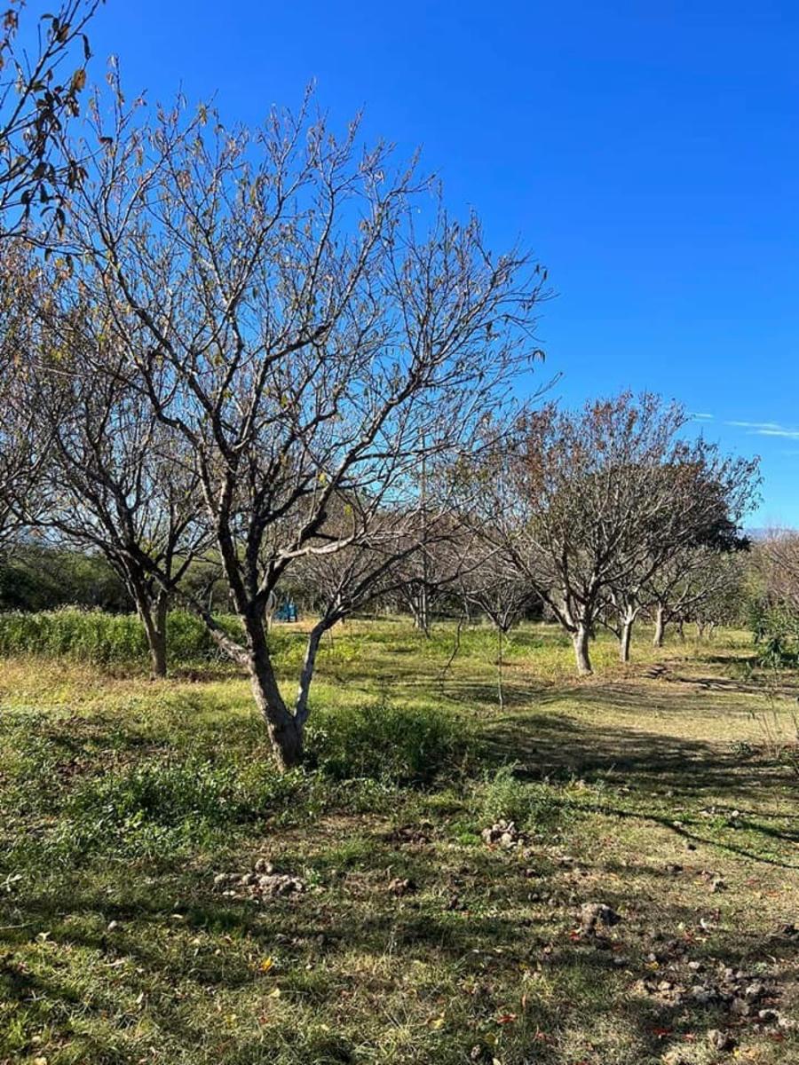 ¡OPORTUNIDAD ÃNICA, RETASADO - CHACRA EN VENTA EN SANTA ROSA DEL VALLE DEL CONLARA, SAN LUIS - 18