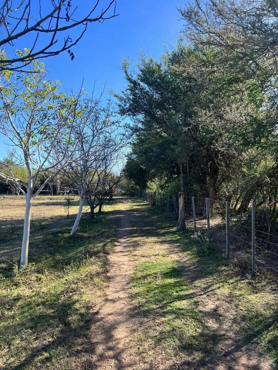 ¡OPORTUNIDAD ÃNICA, RETASADO - CHACRA EN VENTA EN SANTA ROSA DEL VALLE DEL CONLARA, SAN LUIS - 19