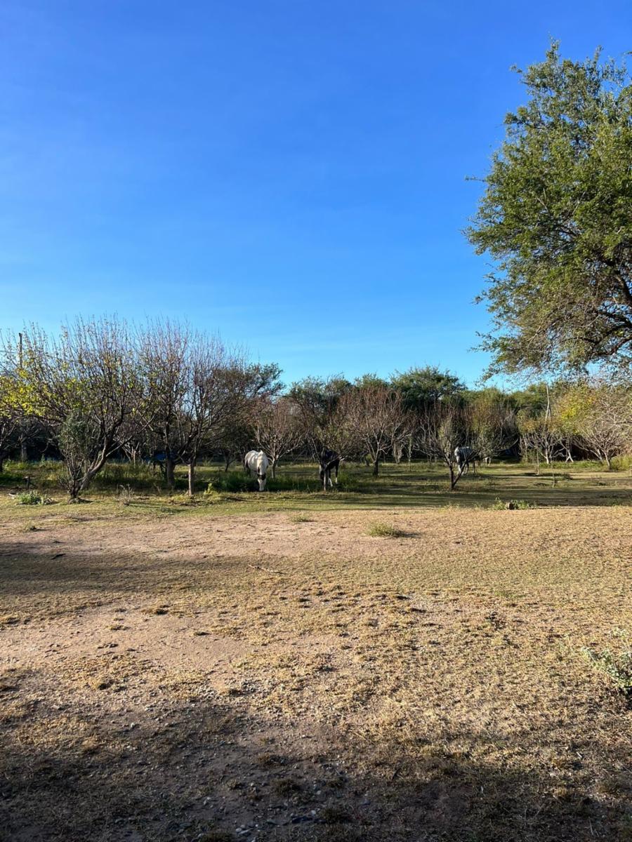 ¡OPORTUNIDAD ÃNICA, RETASADO - CHACRA EN VENTA EN SANTA ROSA DEL VALLE DEL CONLARA, SAN LUIS - 26