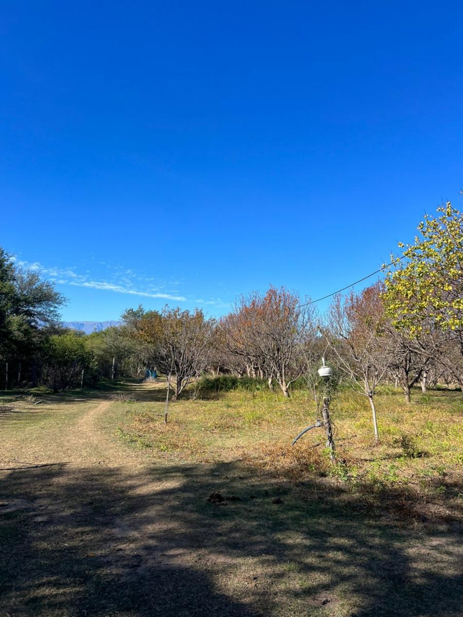 ¡OPORTUNIDAD ÃNICA, RETASADO - CHACRA EN VENTA EN SANTA ROSA DEL VALLE DEL CONLARA, SAN LUIS - 27