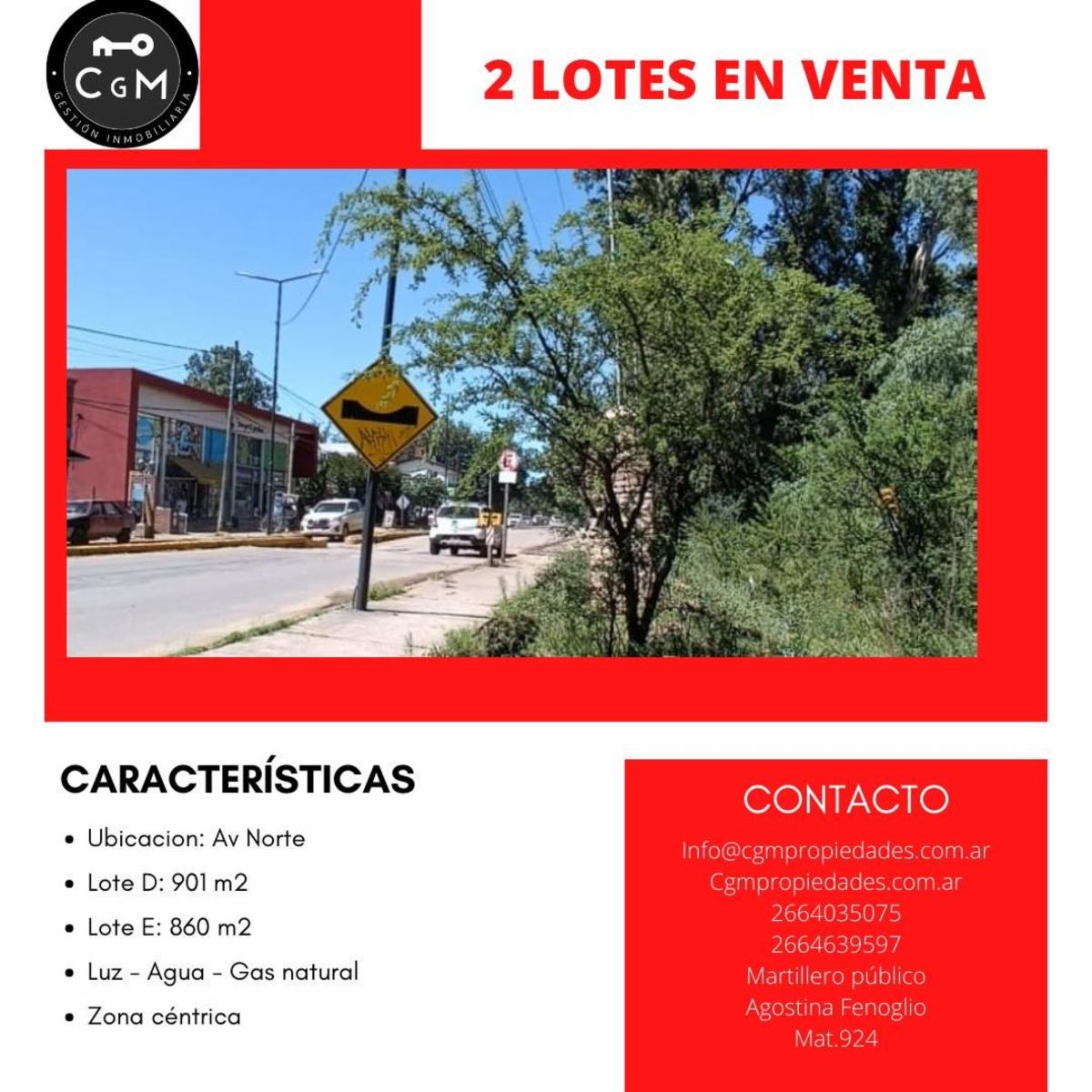 VENTRA DE LOTES EN AV. NORTE, ZONA ALTAMENTE COMERCIAL — foto 2