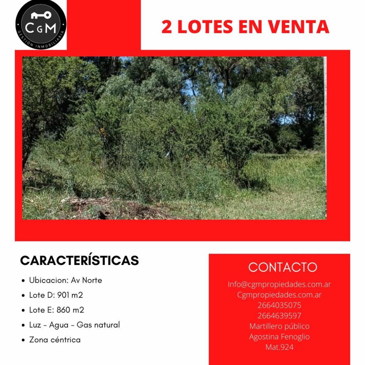 VENTRA DE LOTES EN AV. NORTE, ZONA ALTAMENTE COMERCIAL — foto 3
