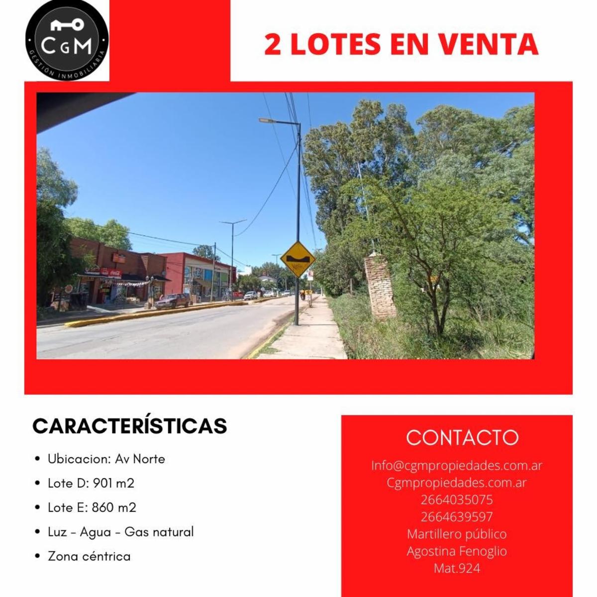 VENTRA DE LOTES EN AV. NORTE, ZONA ALTAMENTE COMERCIAL — foto 4