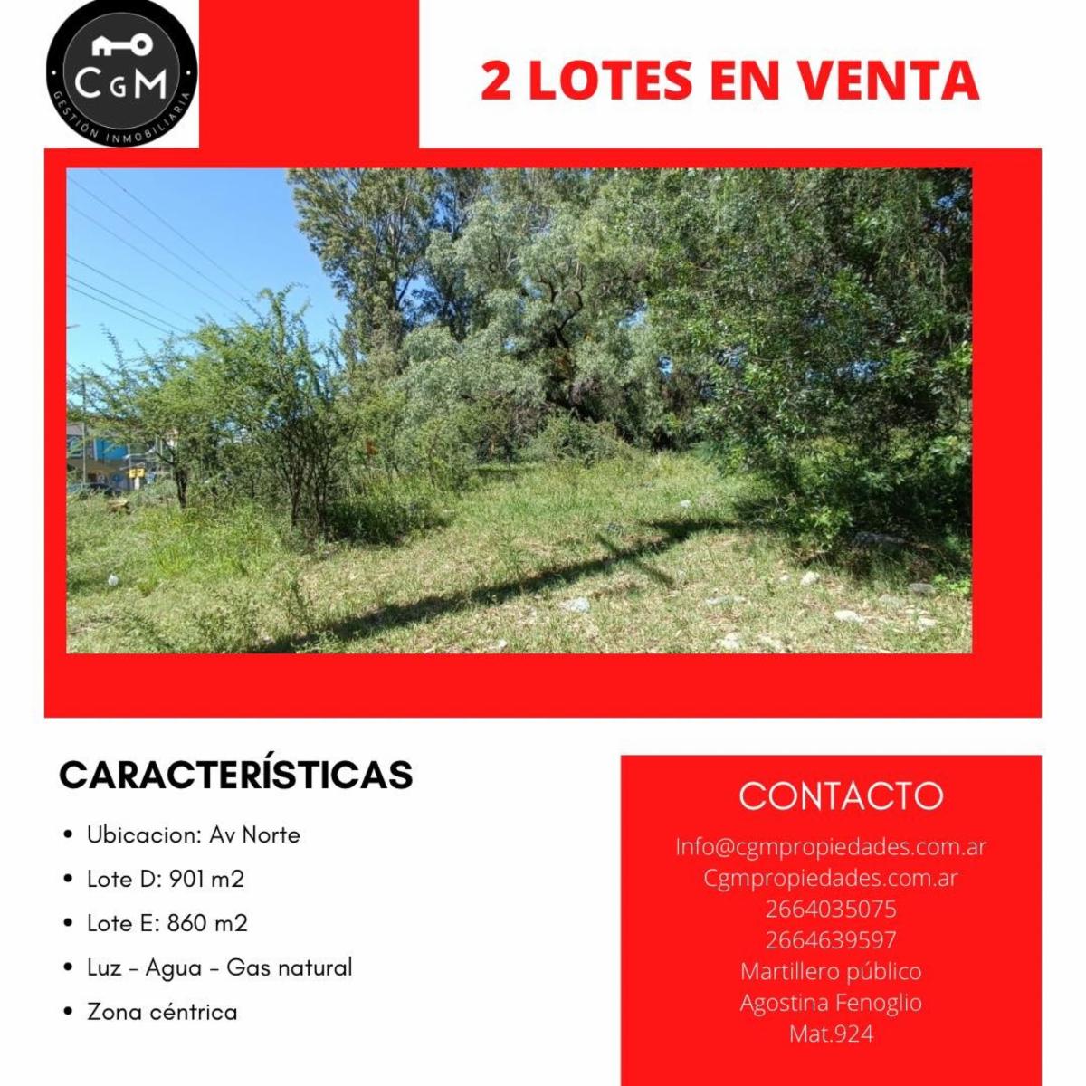 VENTRA DE LOTES EN AV. NORTE, ZONA ALTAMENTE COMERCIAL — foto 5