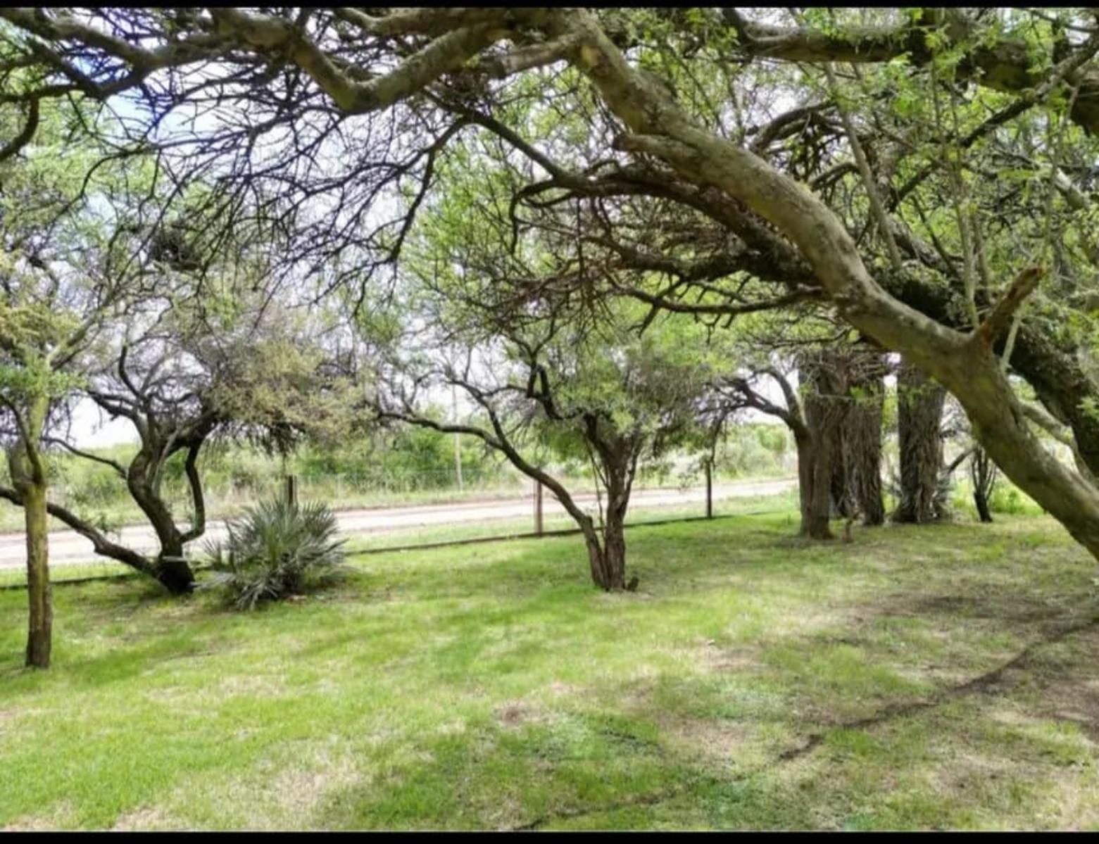 ¡OPORTUNIDAD ÃNICA EN EL PARAÃSO DE BALCARCE - VENTA DE CASA DE CAMPO - 4