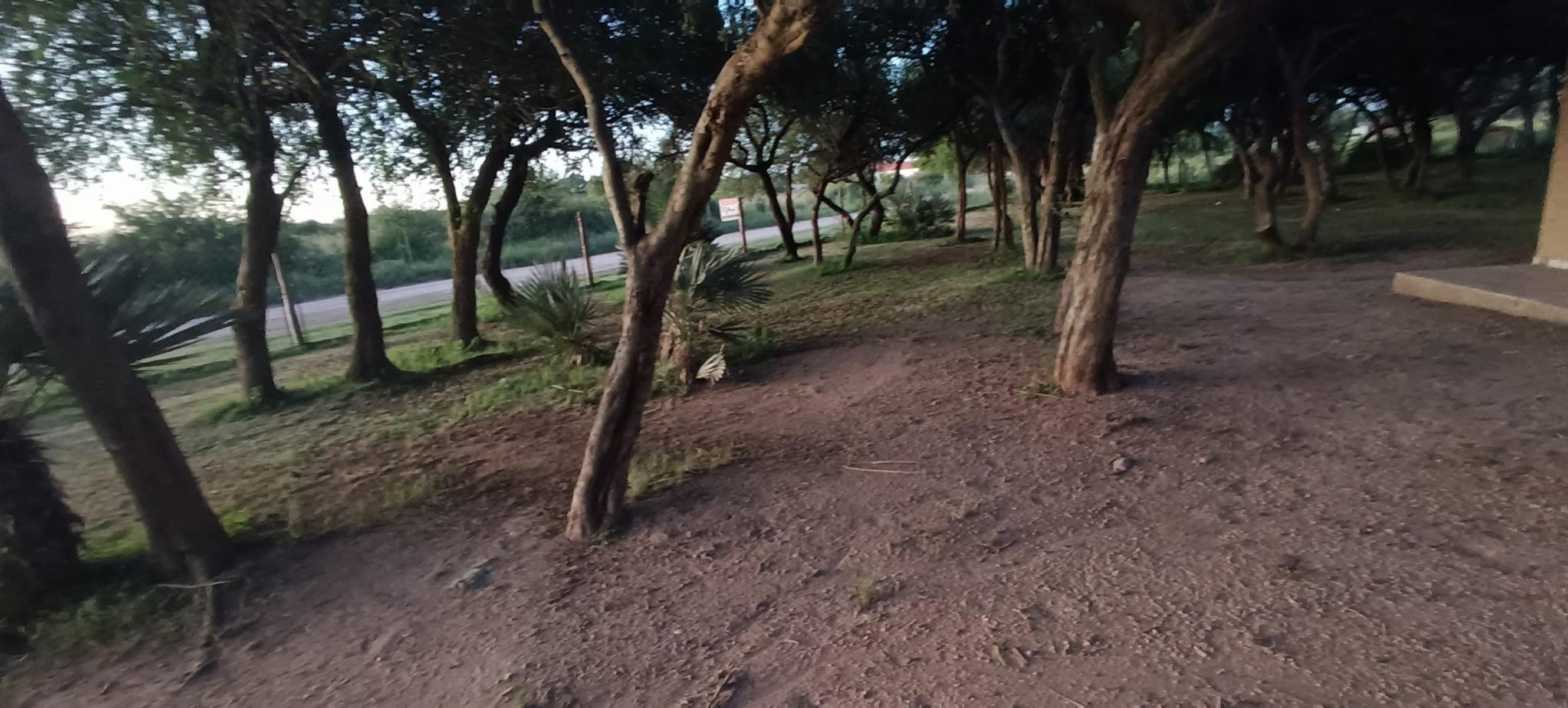 ¡OPORTUNIDAD ÃNICA EN EL PARAÃSO DE BALCARCE - VENTA DE CASA DE CAMPO - 5