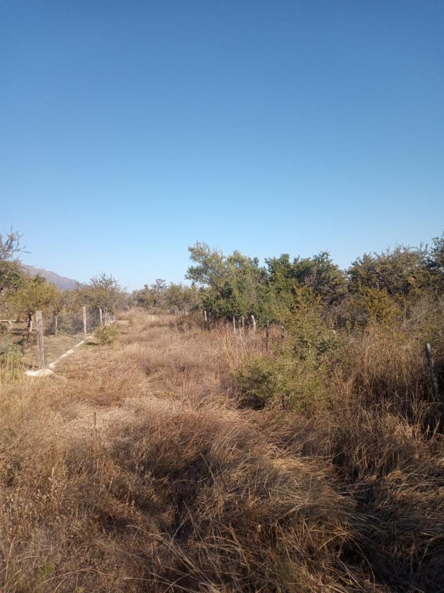 ¡Oportunidad Ãnica Venta de 1 Hectárea en CarpinterÃa Arriba, Merlo, San Luis