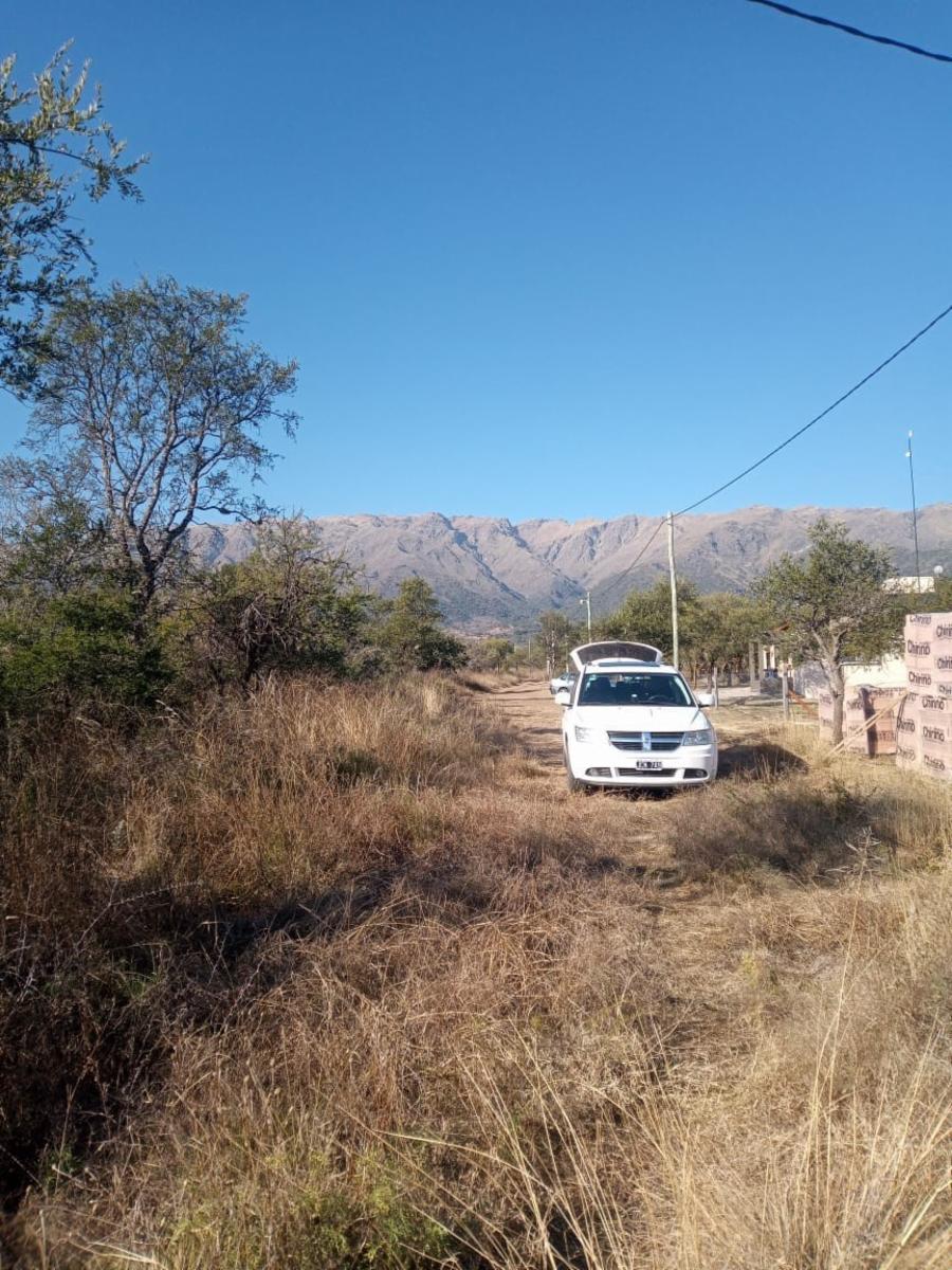 ¡Oportunidad Ãnica Venta de 1 HectÃ¡rea en CarpinterÃ­a Arriba, Merlo, San Luis — foto 2