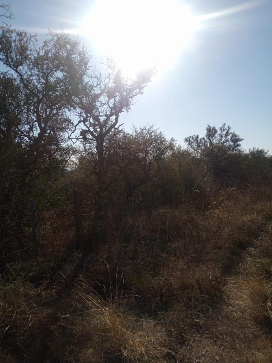 ¡Oportunidad Ãnica Venta de 1 HectÃ¡rea en CarpinterÃ­a Arriba, Merlo, San Luis — foto 3