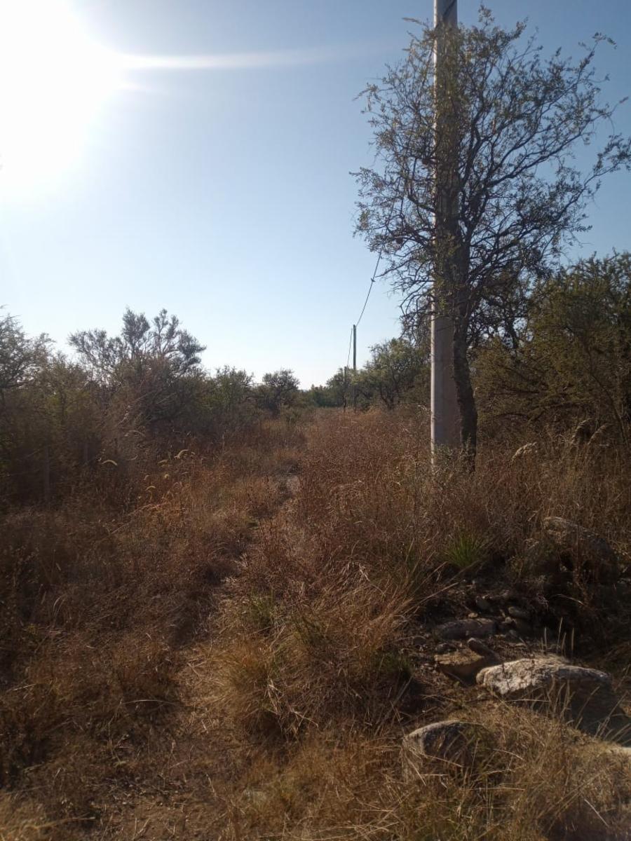 ¡Oportunidad Ãnica Venta de 1 HectÃ¡rea en CarpinterÃ­a Arriba, Merlo, San Luis — foto 4