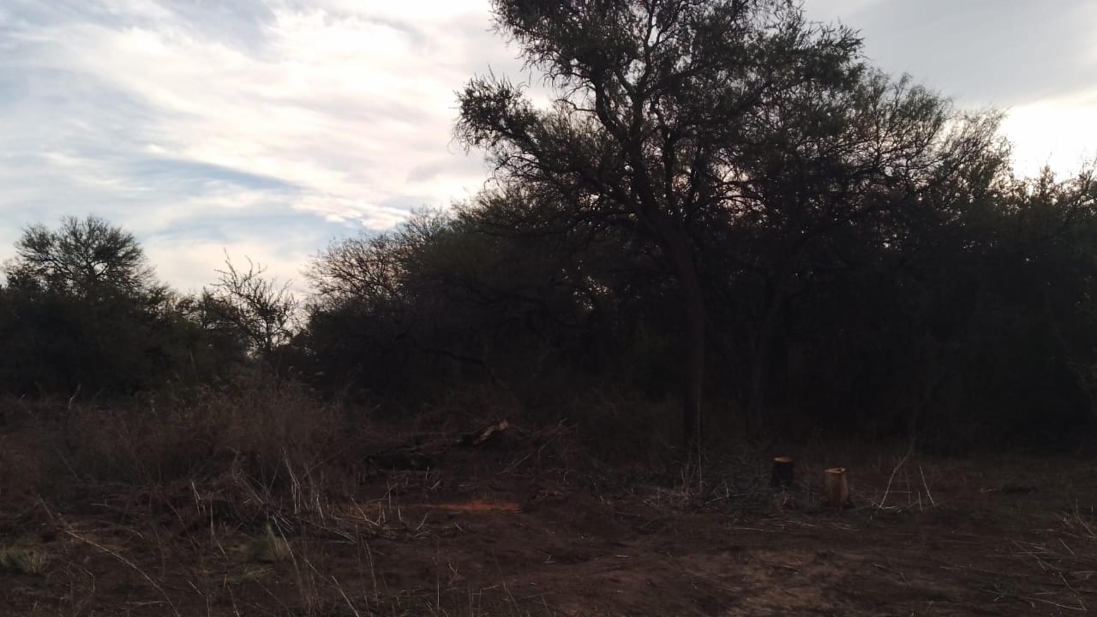 VENTA LOTE DE 2000m2 EN EXCLUSIVO LOTEO LA AURELIA, CARPINTERIA, SAN LUIS — foto 2