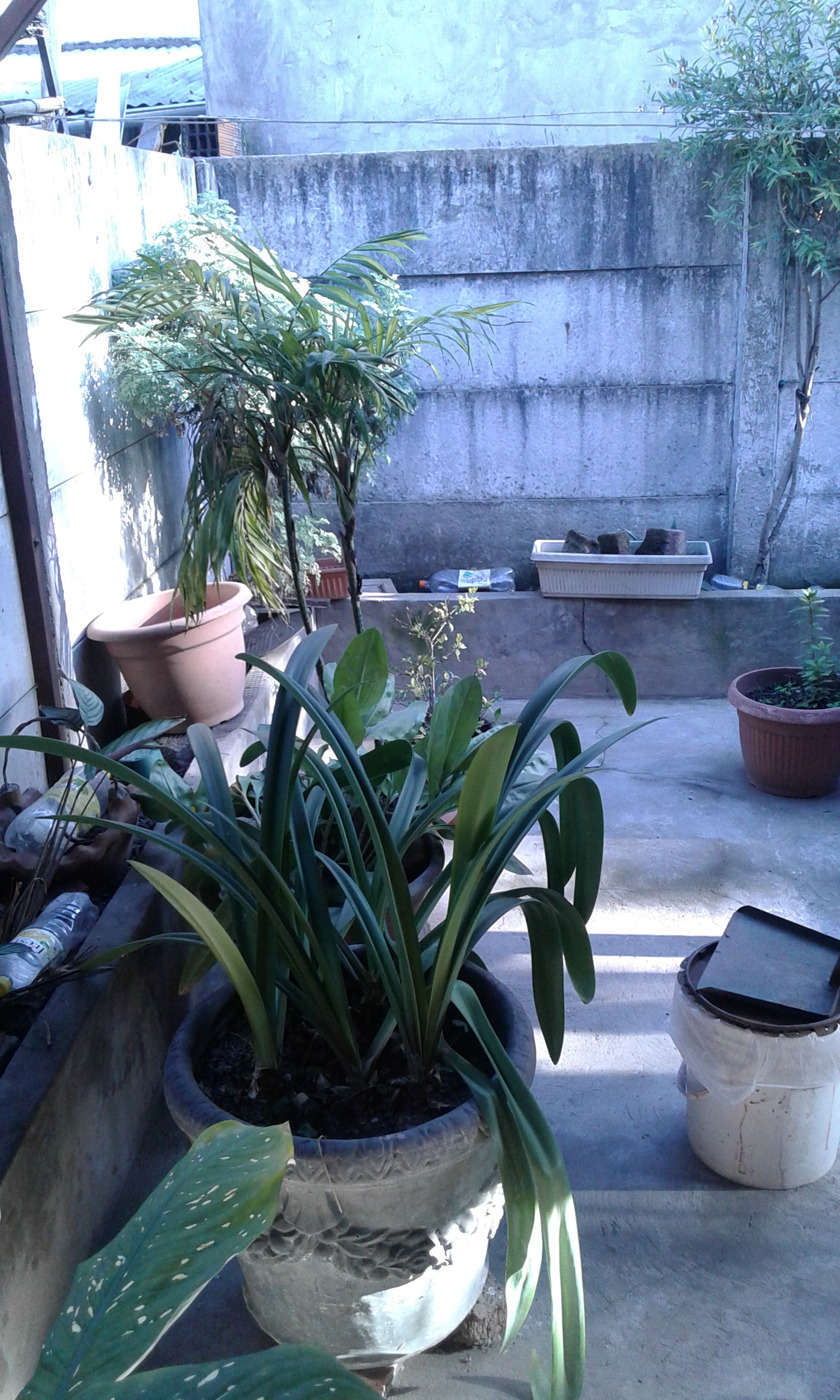 casa de dos sormitorios cocina comedor baño lavadero y patio — foto 3