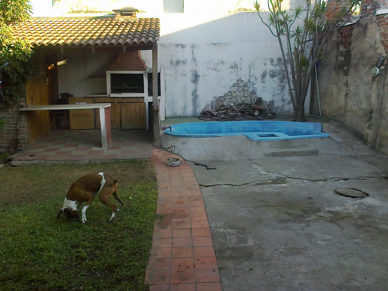 EXCELENTE PH FRENTE 4 AMBIENTES CON FONDO LIBRE Y PISCINA — foto 13