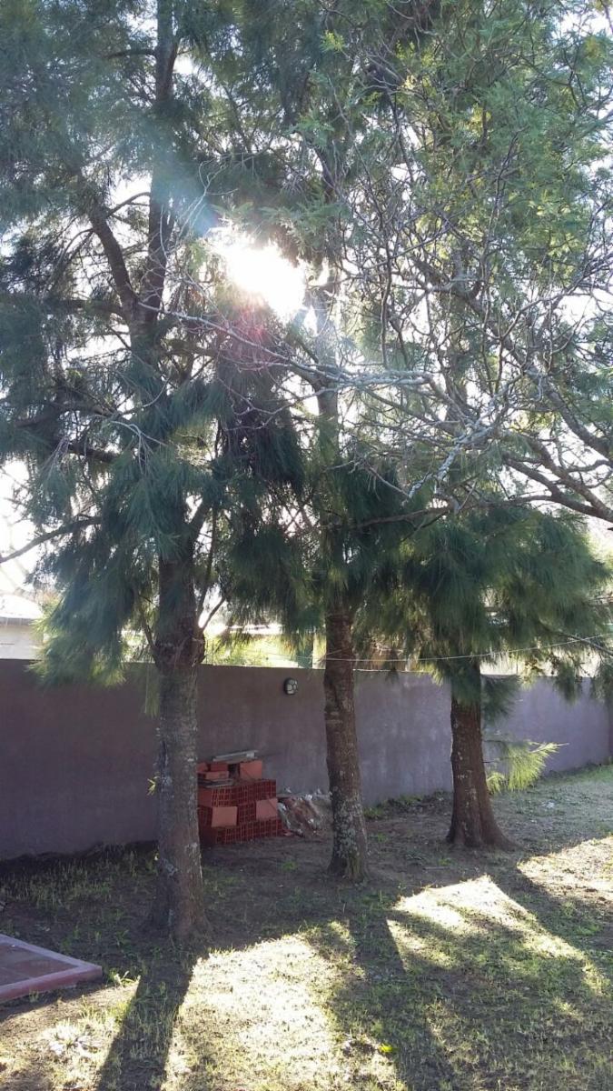 importante casa de 3 ambientes en las toninas con lote de 10 x 35 - 5