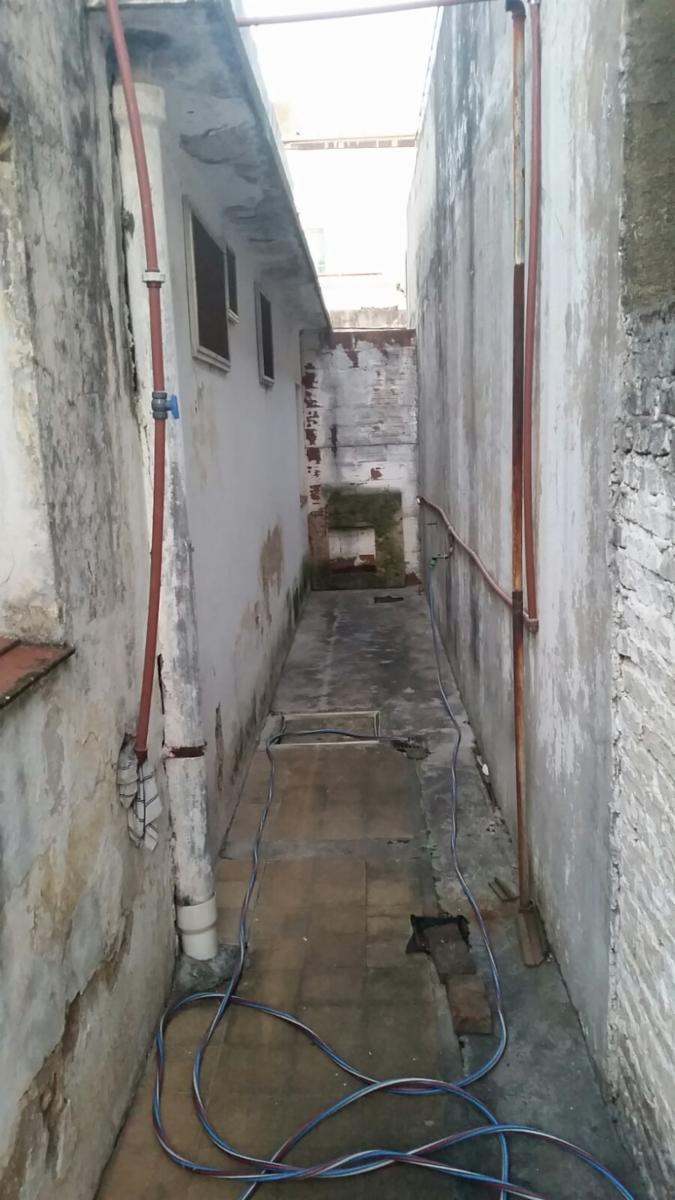 Casa de loza, todo en planta baja, a refaccionar, jardin al frente, living, comedor, cocina con muebles bajos, dos baños, dos dormitorios, patio y fondo libre y dos cuartos de herramientas — foto 11