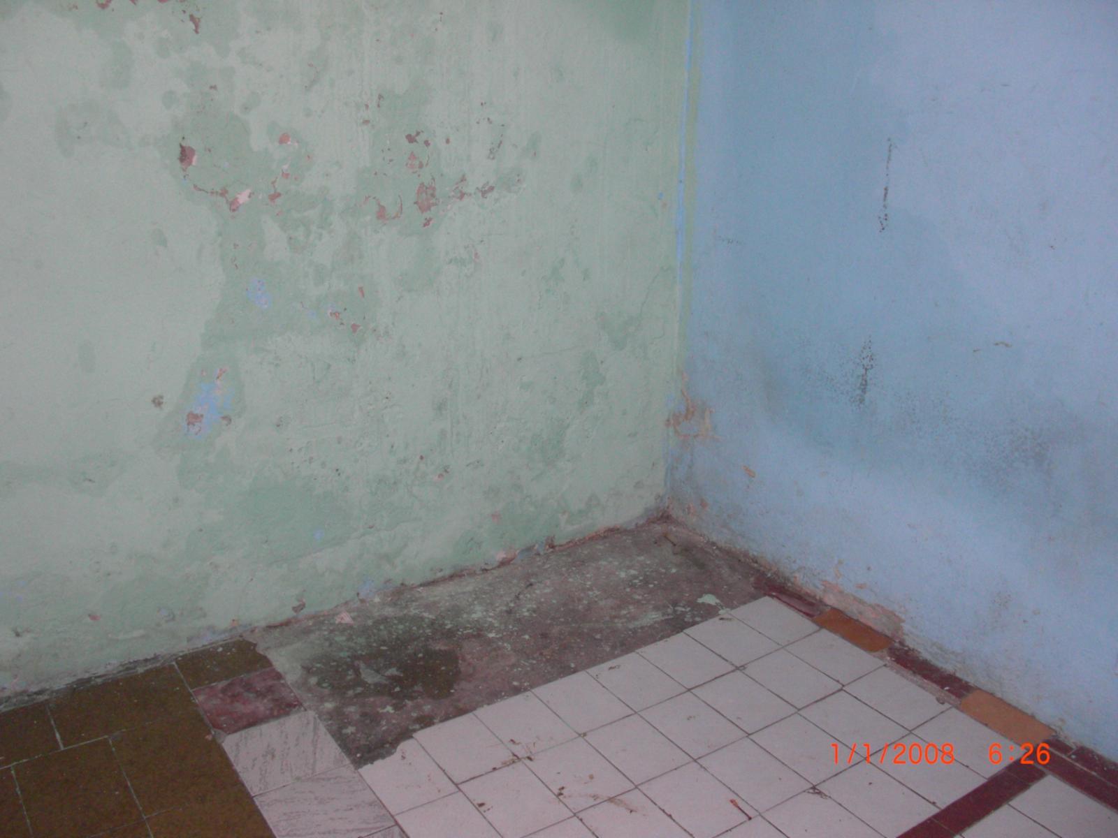 P-H FRENTE, CUATRO AMBIENTES, CON E/AUTO, JARDIN, ENTRADA IND. — foto 6