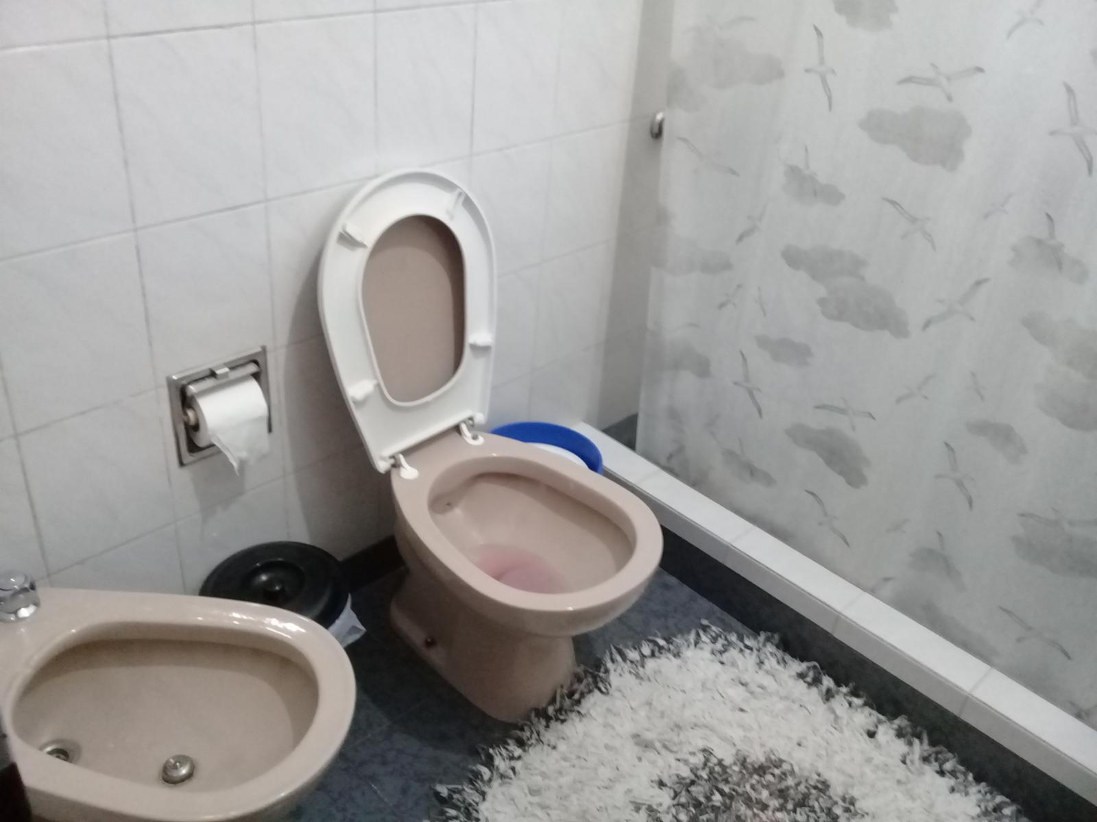 CASA AMERICANA,EN LOTE DE 15X50 — foto 12