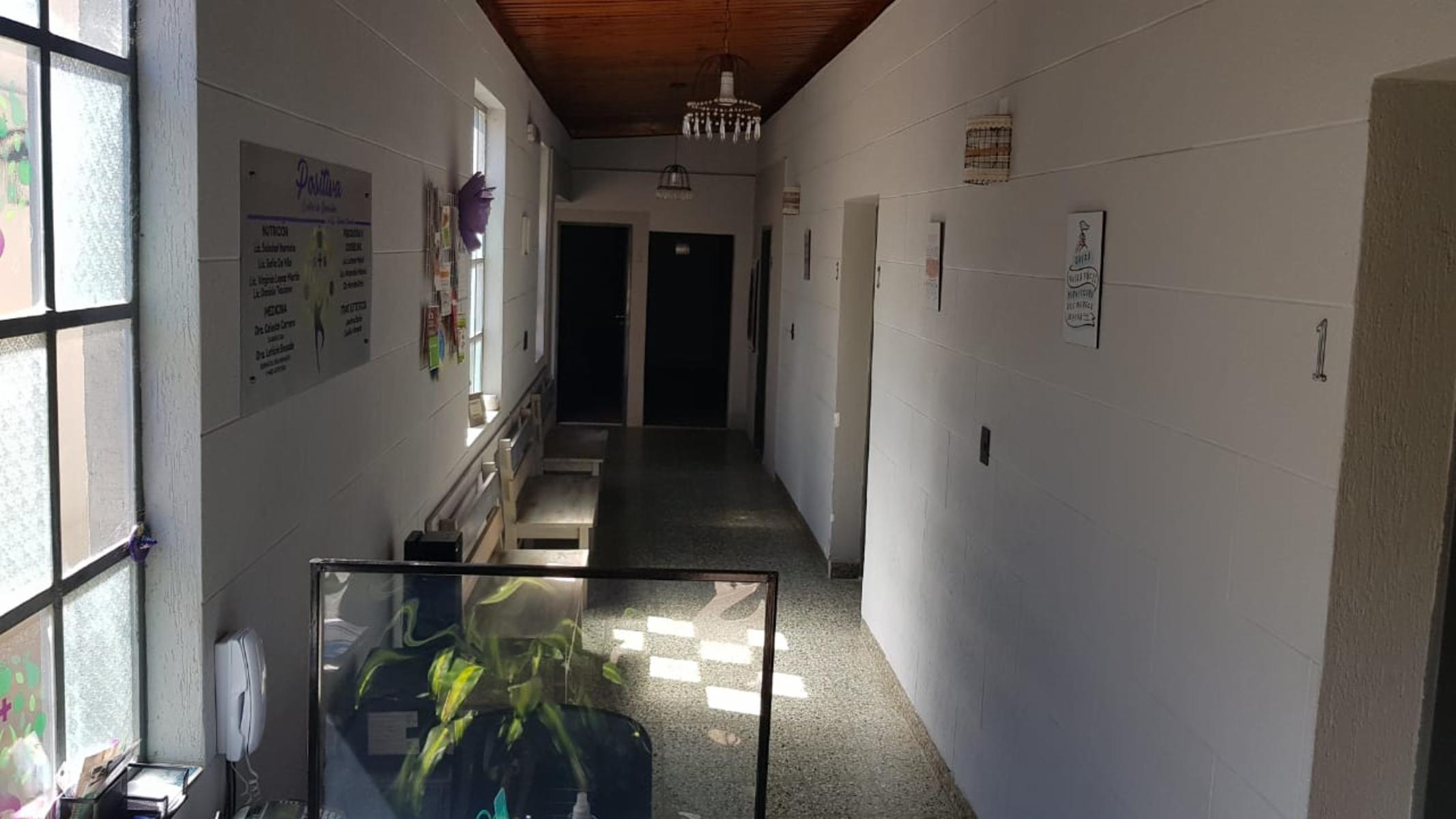 EXCELENTES CONSULTORIOS EN LOTE DE 8,8 x 30 mts. - 5