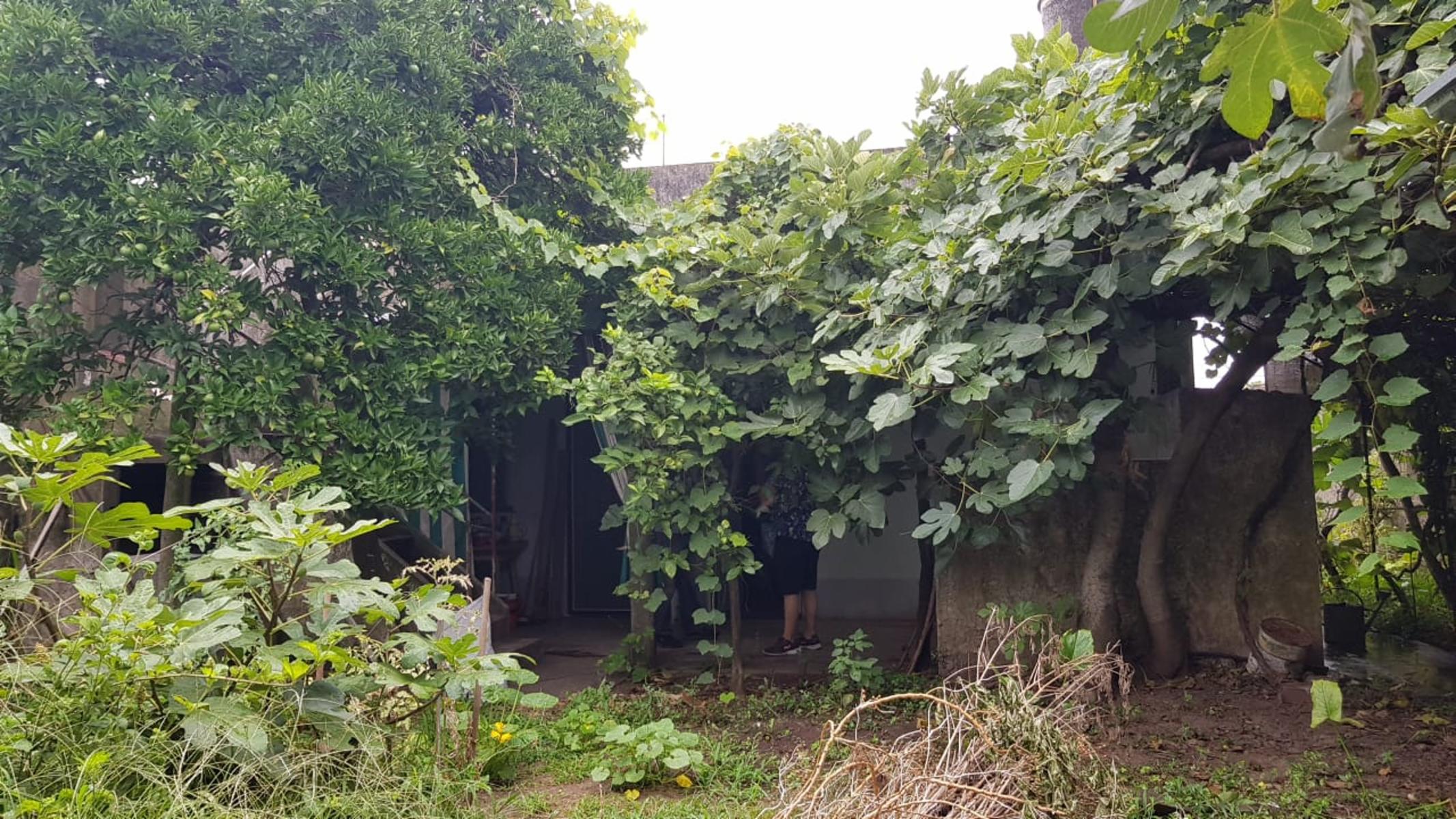 CASA EN LOTE PROPIO DE 10X34 mts, 3 AMBIENTES + CONSTRUCCIÓN AL FONDO PARA REFACCIONAR O RECICLAR — foto 6