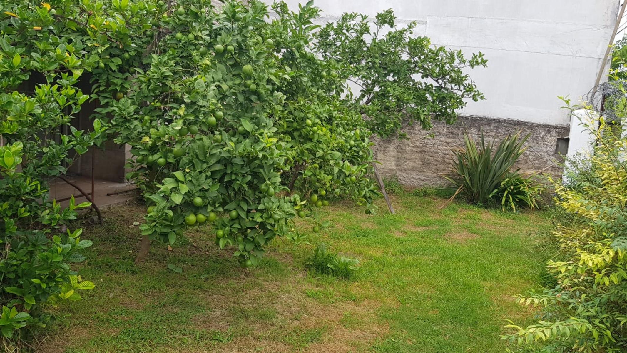 CASA EN LOTE PROPIO DE 10X34 mts, 3 AMBIENTES + CONSTRUCCIÓN AL FONDO PARA REFACCIONAR O RECICLAR — foto 8