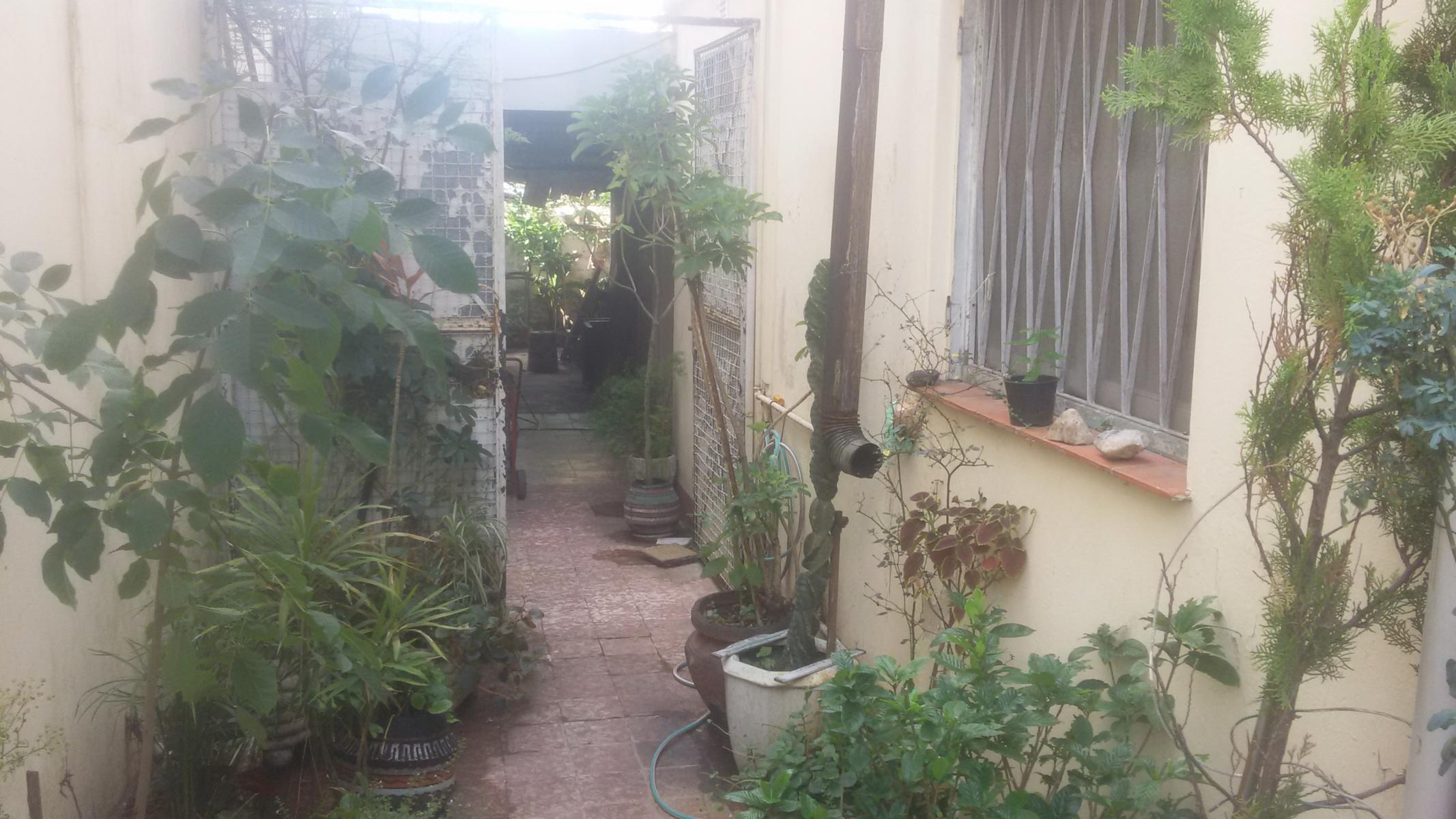 Casa en lote propio 3 amb amplios al frente mas departamento 2 amb al fondo - 15