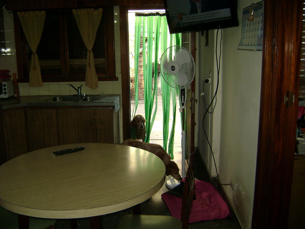 Chalet 4 ambiente, 3 dorm, terraza, 2 baños, 1 toiltette, cochera, amplio living, cocina-comedor, patio , jardin y cto de herramientas — foto 5