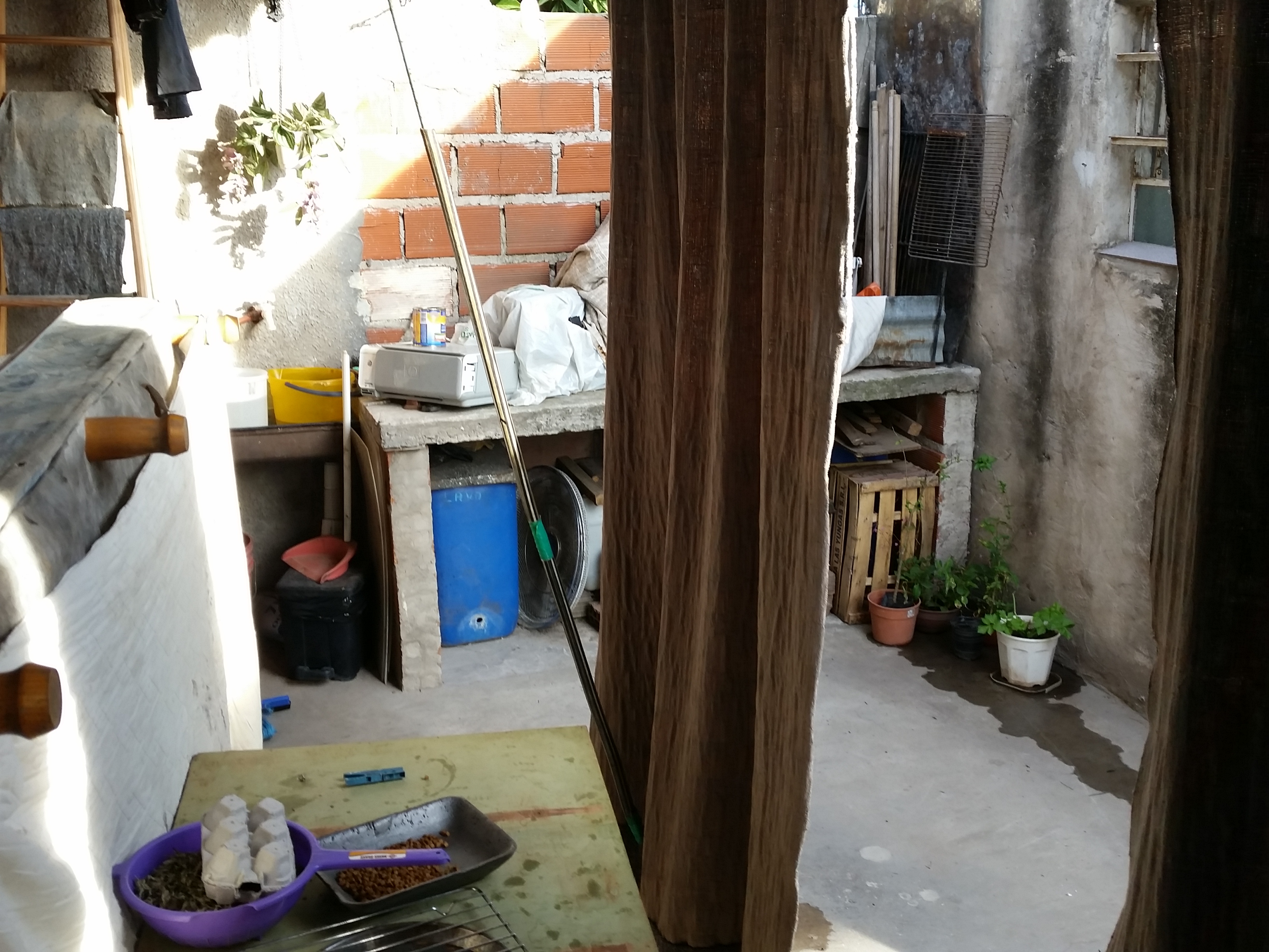 CASA DE 3 AMBIENTES AL FRENTE Y DEPTO DE 2 AMBIENTES AL FONDO — foto 7